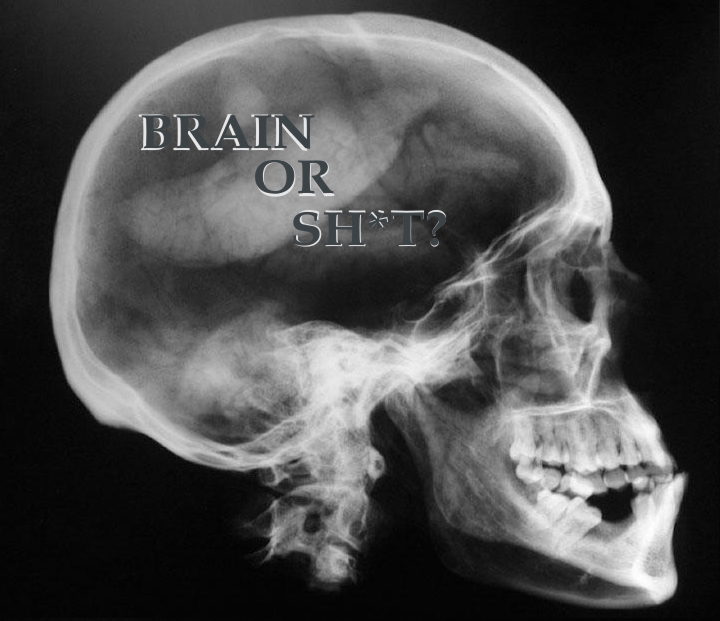 brain or sh*t?
